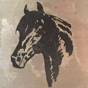 Meet your Posher, Kyle